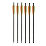 SA Sports Outdoor Gear Carbon Arrows