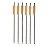 SA Sports Outdoor Gear Carbon Arrows