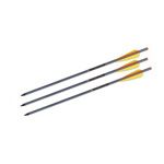 TenPoint Aluminum Arrows