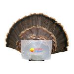 Turkey Decoys