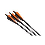 Wicked Ridge Aluminum Arrows