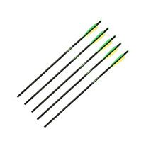 Carbon Arrows